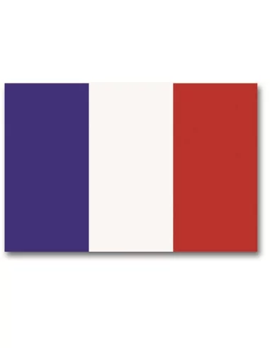 DRAPEAU FRANCAIS 90x150MM