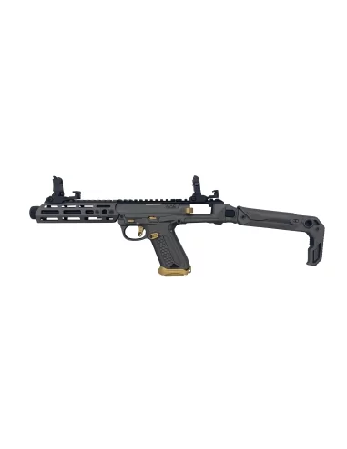 CUSTOM AAP-01 SMG CERAKOTE GREY / GOLD - ACTION...