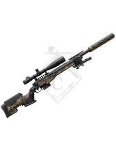 T10 FULL CUSTOM LV1+ AAC CUSTOM