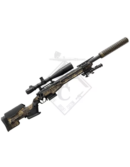 T10 FULL CUSTOM LV1+ AAC CUSTOM