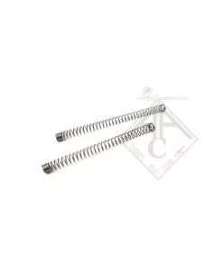 SET RESSORT IMPACT NOZZLE G17 TM / WE POSEIDON