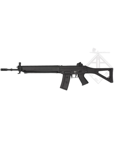 SIG 550 JING GONG