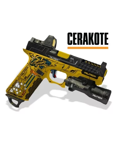 C17 CYBER EDITION CERAKOTE ULTRA LIMITEE BY AAC